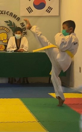 Taekwondo